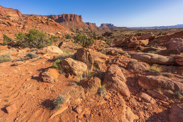 Fototapeta premium hiking the murphy trail loop in the island in the sky in canyonlands national park, usa