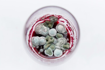Microorganism fungus in the old wine. Organic process isolated