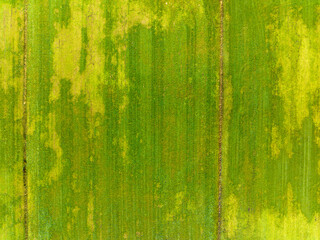 Abstract aerial top view of barren grassland near nature area, Twente, Overijssel, The Netherlands.