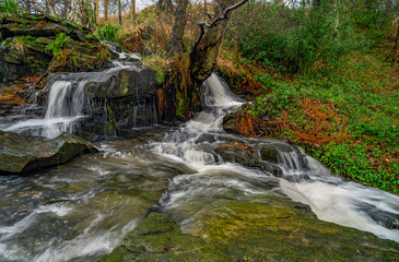 waterfall in the forest