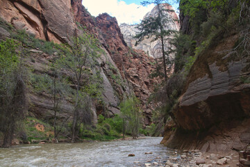 Entering The Narrows in Spring
