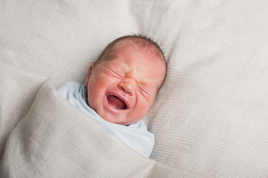 Newborn 3 weeks old screams and cries in dream close-up. Baby care, colic, teething, healthy sleep