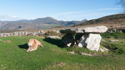 Perro junto a dolmen de rocas en montaña © Darío Peña