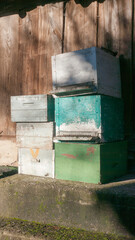 Cajas de colmenas en zona rural