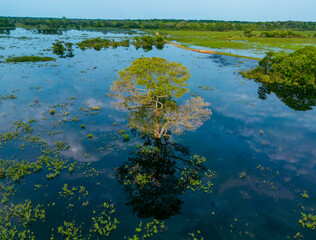 Pantanal inundado