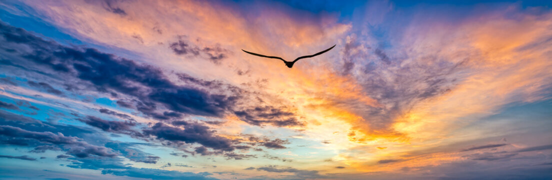 Inspirational Sunset Bird Sun Rays Flying Colorful Uplifting Banner