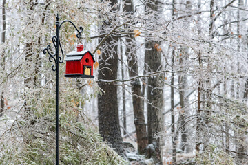 Bird Houses in a Cold Situation
