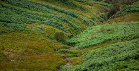 Amazing landscape and nature of Lake District National Park - travel photography