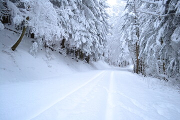 Chemin forestier enneigé en hiver dans le Vercors