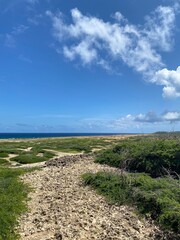 Fototapeta na wymiar Aruba beach