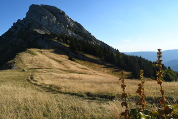 Pente herbeuse devant un sommet du Vercors en été
