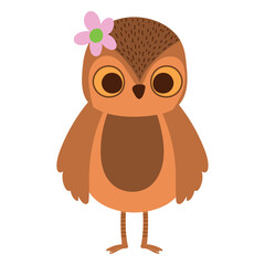 owl cute animal