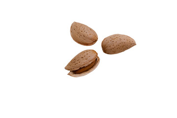 shelled almonds isolated 