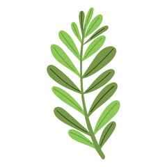 foliage leaves icon