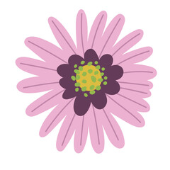 pink flower icon