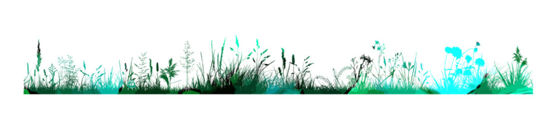 Vector green watercolor natural, organic, bio, eco label and shape, grass on white background. Long horizontal line of grass. Hand drawn stain.