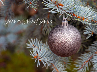 Decorated Christmas Tree.
