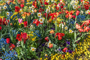 Flowerbed with many different flowers of bright colors