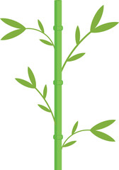 Fototapeta na wymiar Professionally drawn bamboo stem with leaves on a white background