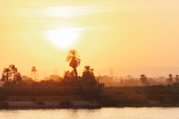 Beautiful palm trees along the river Nile on a Nile cruise in Egypt