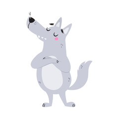 Grey Wolf Character with Pointed Muzzle Standing with Grumpy Face Vector Illustration