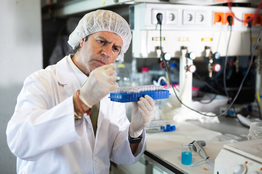 Focused male scientist chemist works with liquids in beaker in science laboratory