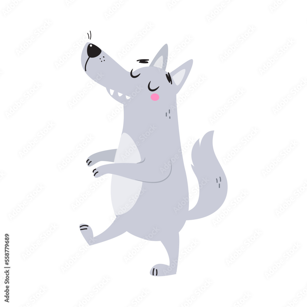 Wall mural grey wolf character with pointed muzzle walking vector illustration