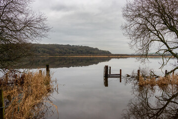 Reflection of trees in the tranquil water. Landscape view of a gate on the marshes filled with water after the rain. Northern Ireland, UK