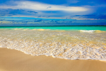 Tropical paradise, sand beach in caribbean Saona Island, Punta Cana, Dominican