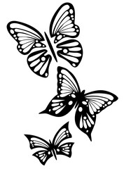 Obraz na płótnie Canvas three butterflies 1