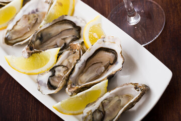 Gourmet raw oysters on white plate with sliced lemon ..