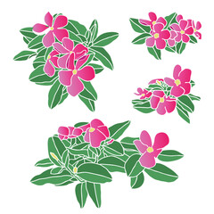 Composition of flowers, hand-drawn vector illustration.