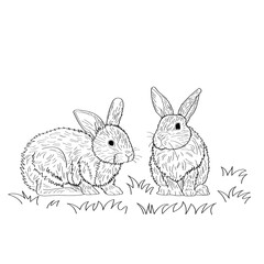 Two rabbits graze on the lawn. Vector coloring.