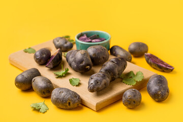 Wooden board with raw purple potatoes and cilantro on color background
