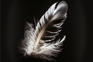 Close-up of one white and brown feather on black background, Generative AI