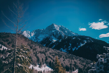 Vertical view of a snow covered mountain with a blue sky in the distance. Generative AI