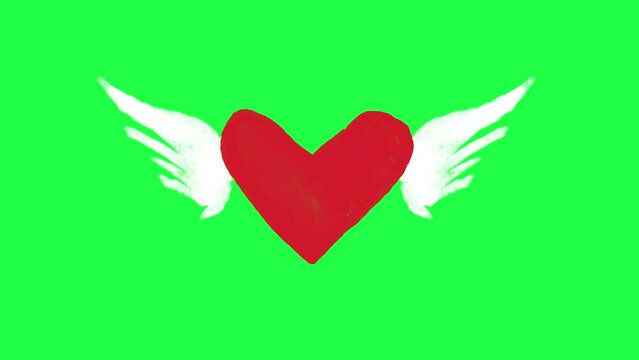Hand Drawn winged heart animation on a green background. Cartoon Hand Drawn heart animation with key color. Women's day, Valentine's Day, and Wedding day heart animation. Key color, Chroma key. 4k