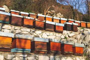 Summer view of rural apiary and honey production in Balkan peninsula countries, bee hive colony,...