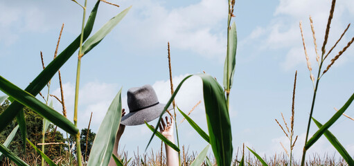 Cropped hands of woman holding hat at cornfield against sky