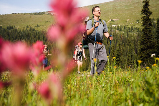Selective focus, low angle view of a group of hikers in the Purcell Mountains, seen through red Indian Paintbrush wildflowers.