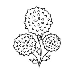 Hand drawn flowers. Vector illustration in doodles style. Isolate on a white background.