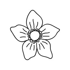 Single hand drawn flower head. Vector illustration in doodles style. Isolate on a white background.
