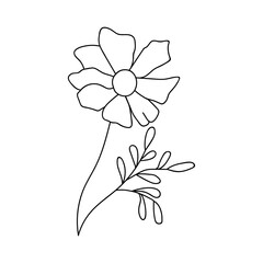Single hand drawn daisy. Vector illustration in doodle style. Isolate on a white background.