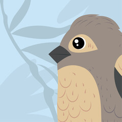 bird nature vector design