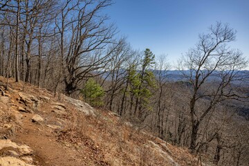 Obraz premium bartram trail