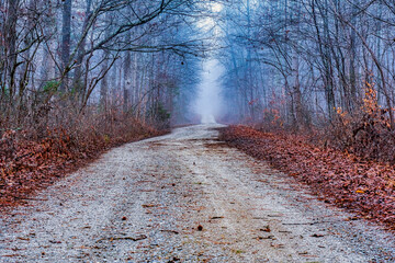 A country dirt and loose gravel back roads in a winter woodland with the road disappearing in the fog. A Southern Tennessee countryside road photo in AEDC Wild life management area.