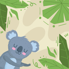 koala jungle animal © Stockgiu