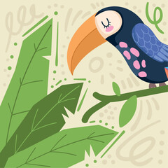 toucan on branch jungle animal