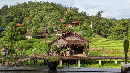 Obraz premium Thailand paddy field rice rain forest jungle hut wooden bamboo bridge footpath