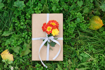 Book decorated with chrysanthemum flowers on grass outdoors, top view